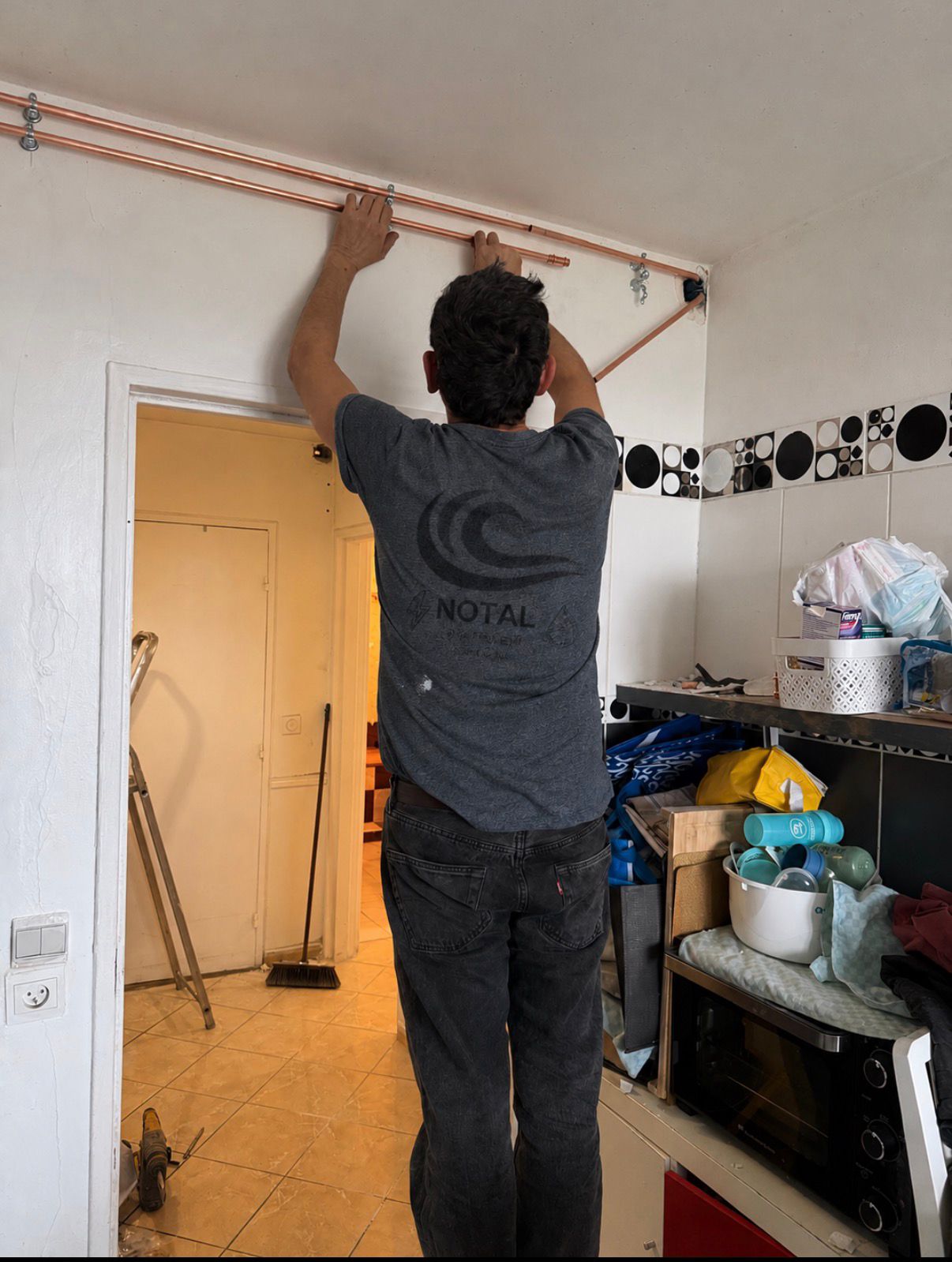 Chantier Gestion des nuisibles - Notal Bâtiment